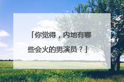 你觉得，内地有哪些会火的男演员？