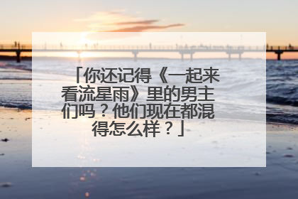你还记得《一起来看流星雨》里的男主们吗？他们现在都混得怎么样？