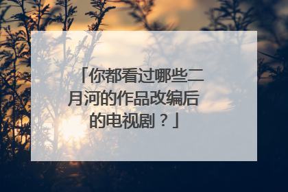 你都看过哪些二月河的作品改编后的电视剧？