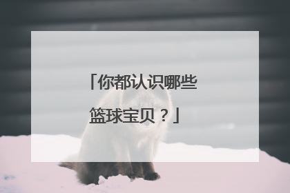 你都认识哪些篮球宝贝？