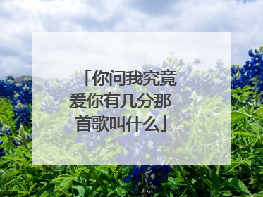 你问我究竟爱你有几分那首歌叫什么