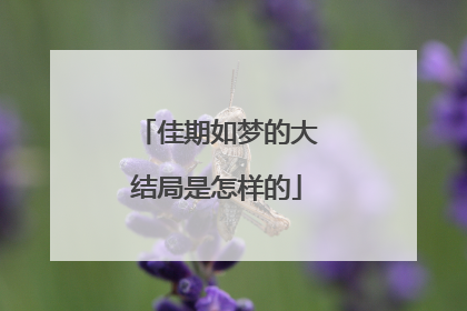 佳期如梦的大结局是怎样的