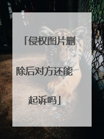 侵权图片删除后对方还能起诉吗