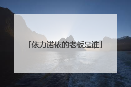 依力诺依的老板是谁