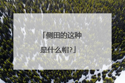 侧田的这种是什么帽?