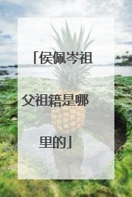 侯佩岑祖父祖籍是哪里的