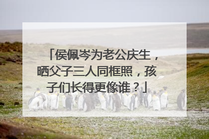 侯佩岑为老公庆生，晒父子三人同框照，孩子们长得更像谁？