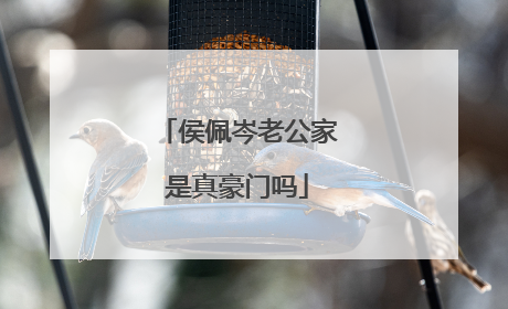 侯佩岑老公家是真豪门吗