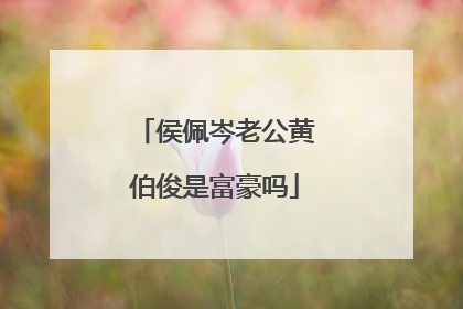 侯佩岑老公黄伯俊是富豪吗