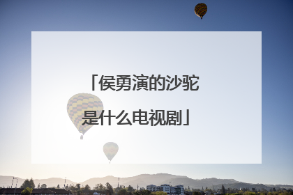 侯勇演的沙驼是什么电视剧