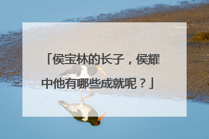 侯宝林的长子，侯耀中他有哪些成就呢？