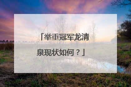 举重冠军龙清泉现状如何?