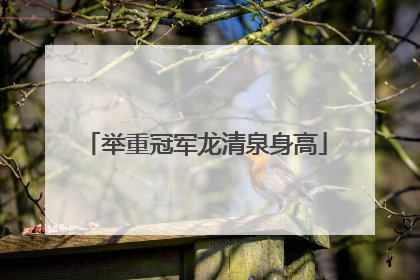 举重冠军龙清泉身高