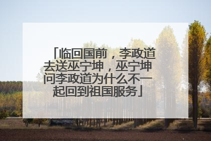 临回国前，李政道去送巫宁坤，巫宁坤问李政道为什么不一起回到祖国服务