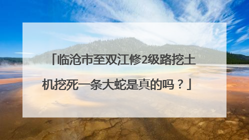临沧市至双江修2级路挖土机挖死一条大蛇是真的吗？