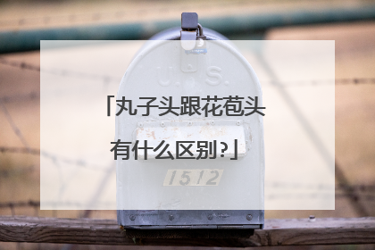 丸子头跟花苞头有什么区别?