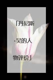 丹尼斯·吴的人物评价