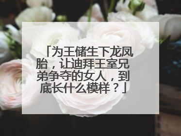 为王储生下龙凤胎，让迪拜王室兄弟争夺的女人，到底长什么模样？