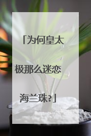 为何皇太极那么迷恋海兰珠?
