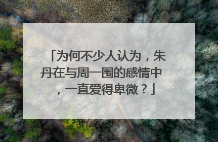 为何不少人认为,朱丹在与周一围的感情中,一直爱得卑微?