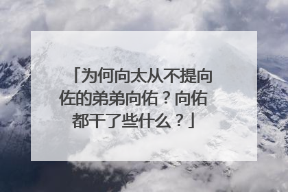 为何向太从不提向佐的弟弟向佑?向佑都干了些什么?