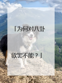 为何对八卦欲罢不能？