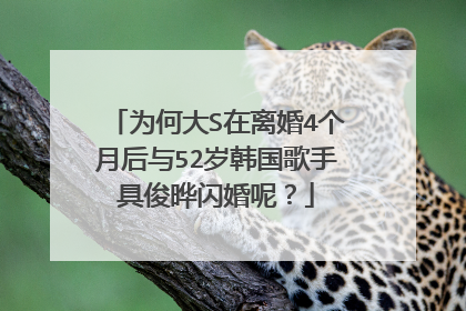 为何大S在离婚4个月后与52岁韩国歌手具俊晔闪婚呢?