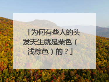 为何有些人的头发天生就是栗色（浅棕色）的？