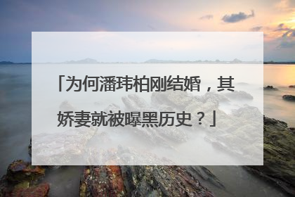 为何潘玮柏刚结婚,其娇妻就被曝黑历史?
