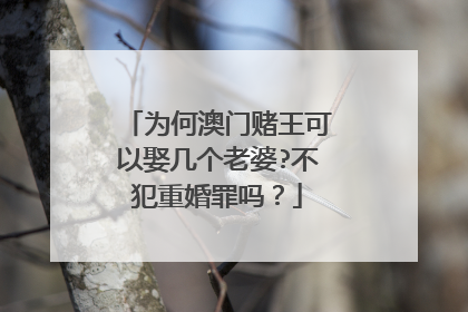 为何澳门赌王可以娶几个老婆?不犯重婚罪吗？