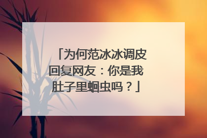 为何范冰冰调皮回复网友：你是我肚子里蛔虫吗？