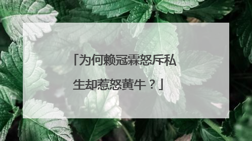 为何赖冠霖怒斥私生却惹怒黄牛?