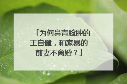 为何鼻青脸肿的王自健，和家暴的前妻不离婚？