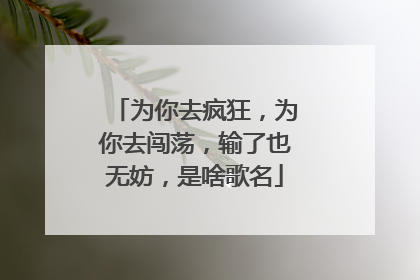 为你去疯狂，为你去闯荡，输了也无妨，是啥歌名