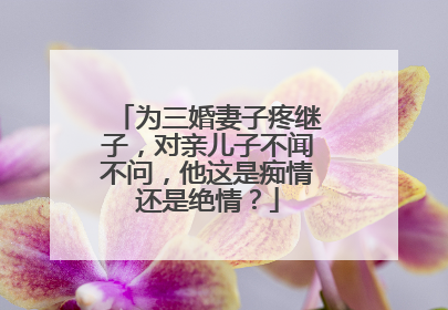 为三婚妻子疼继子，对亲儿子不闻不问，他这是痴情还是绝情？
