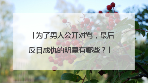 为了男人公开对骂,最后反目成仇的明星有哪些?