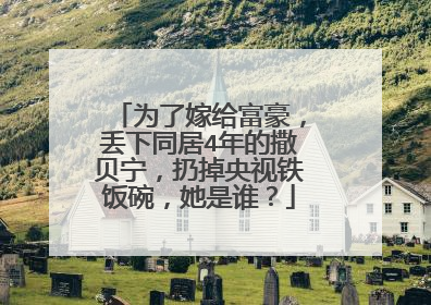 为了嫁给富豪,丢下同居4年的撒贝宁,扔掉央视铁饭碗,她是谁?