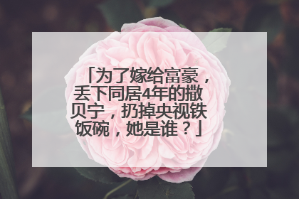 为了嫁给富豪，丢下同居4年的撒贝宁，扔掉央视铁饭碗，她是谁？