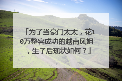 为了当豪门太太,花10万整容成功的越南凤姐,生子后现状如何?