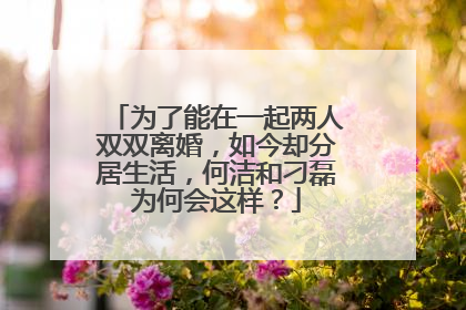 为了能在一起两人双双离婚,如今却分居生活,何洁和刁磊为何会这样?