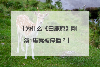 为什么《白鹿原》刚演1集就被停播？