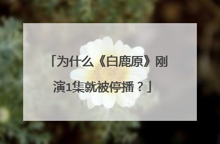 为什么《白鹿原》刚演1集就被停播？