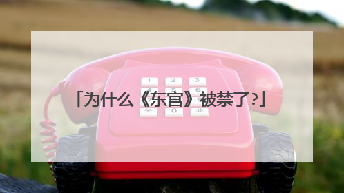 为什么《东宫》被禁了?