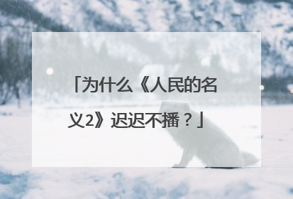为什么《人民的名义2》迟迟不播?