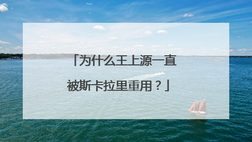 为什么王上源一直被斯卡拉里重用？