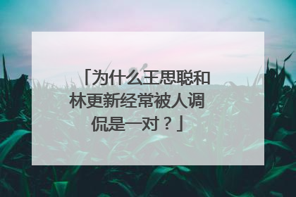 为什么王思聪和林更新经常被人调侃是一对?