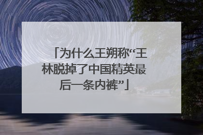 为什么王朔称“王林脱掉了中国精英最后一条内裤”