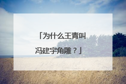 为什么王青叫冯建宇角雕？