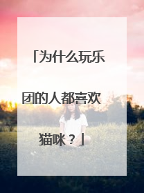 为什么玩乐团的人都喜欢猫咪?