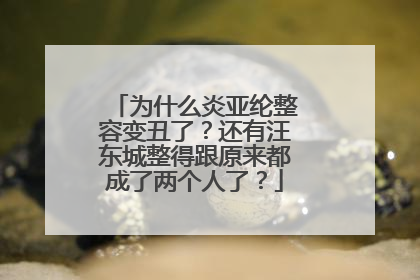 为什么炎亚纶整容变丑了？还有汪东城整得跟原来都成了两个人了？
